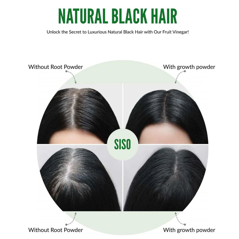 Fruit & Vinegar Gel Hair Color – Ammonia-Free Pack of 2 × 125ml | Natural Shine & Bold Color